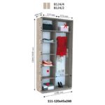 Шафа-купе ДОМ Віват 2Д В124 / В126 - Зображення 2